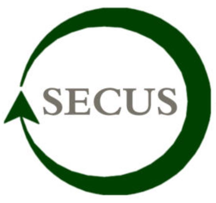 Chemnitz_Chemnitz_SECUS Dienstleistungs GmbH_Logo